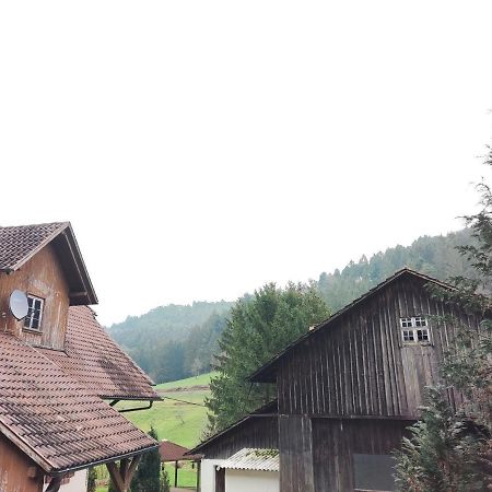 Geraeumige Wohnung Im Schwarzwald Seelbach  Exterior foto