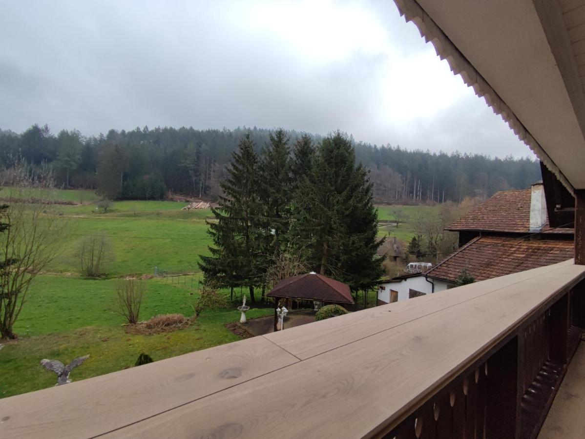 Geraeumige Wohnung Im Schwarzwald Seelbach  Exterior foto
