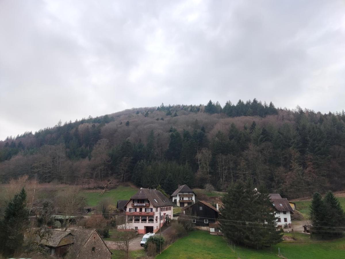 Geraeumige Wohnung Im Schwarzwald Seelbach  Exterior foto