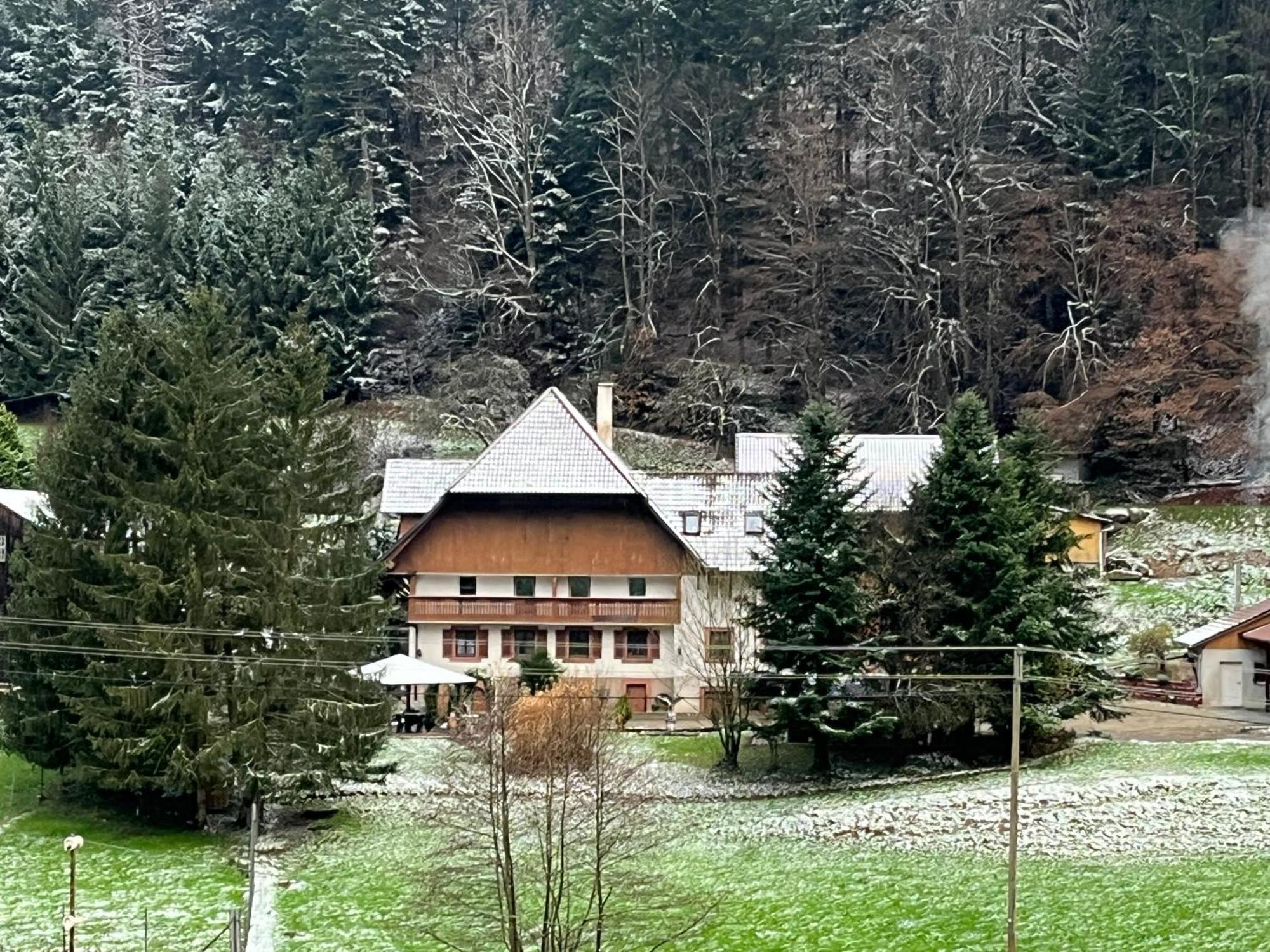 Geraeumige Wohnung Im Schwarzwald Seelbach  Exterior foto
